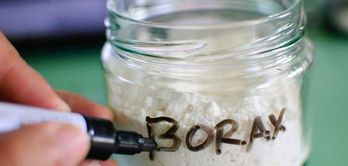 Borax Nedir?