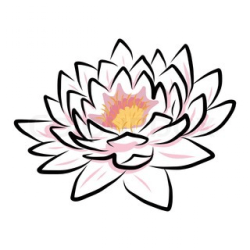 Lotus Çiçeği Anlamı