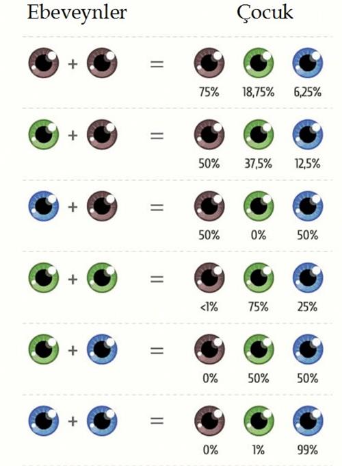 Bebeklerin Göz Rengi Ne Zaman Belli Olur ?