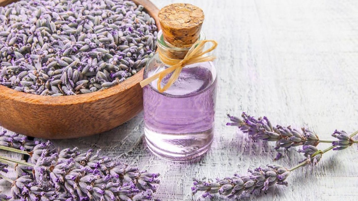 Lavanta Yağı Saça Nasıl Uygulanır ? Lavanta Yağı Saça Nasıl Uygulanır ?