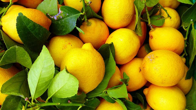 Limon Hangi Mevsimde Yetişir ?