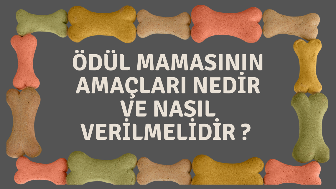 Ödül Mamasının Amaçları Nedir ve Nasıl Verilmelidir?