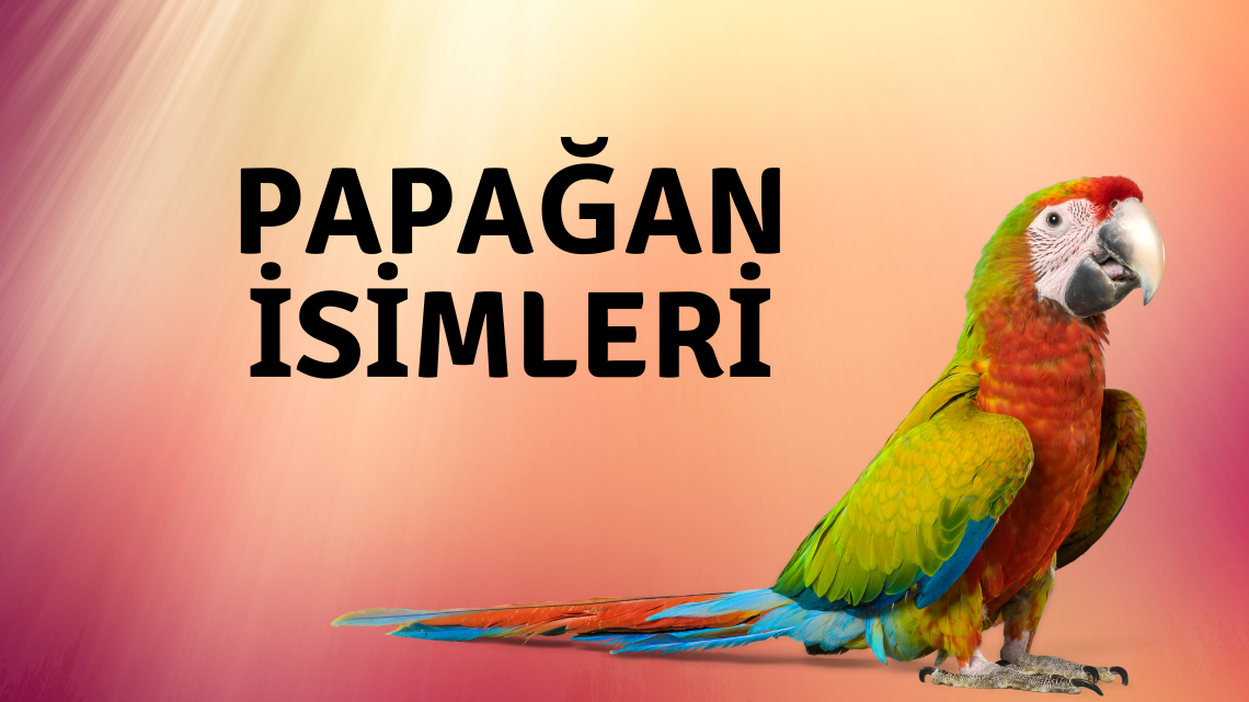 Papağan İsimleri