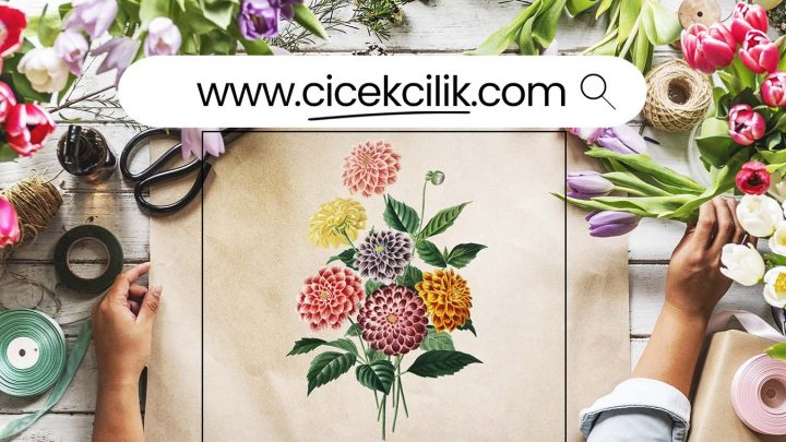 Girişimciler için Domain Seçimi