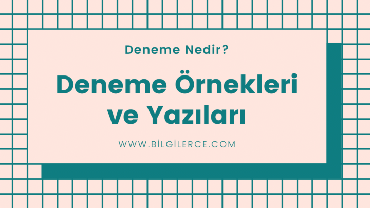 Deneme Örnekleri ve Yazıları