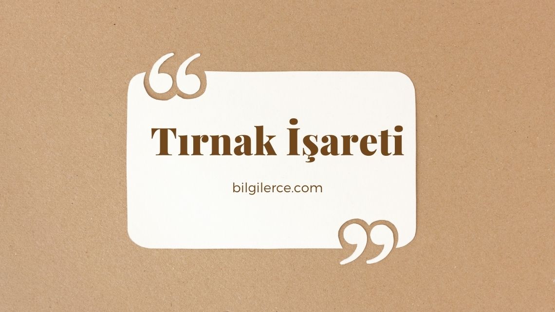 Tırnak İşareti İle İlgili Cümleler