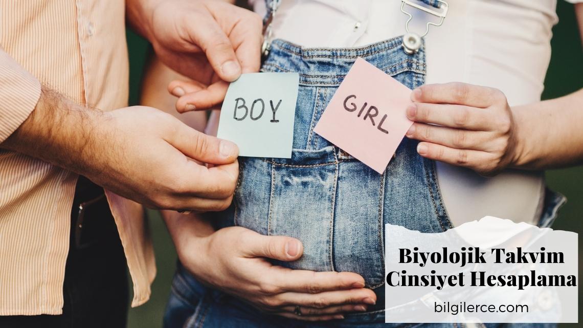 Biyolojik Takvim Cinsiyet Hesaplama Biyolojik Takvim Cinsiyet Hesaplama