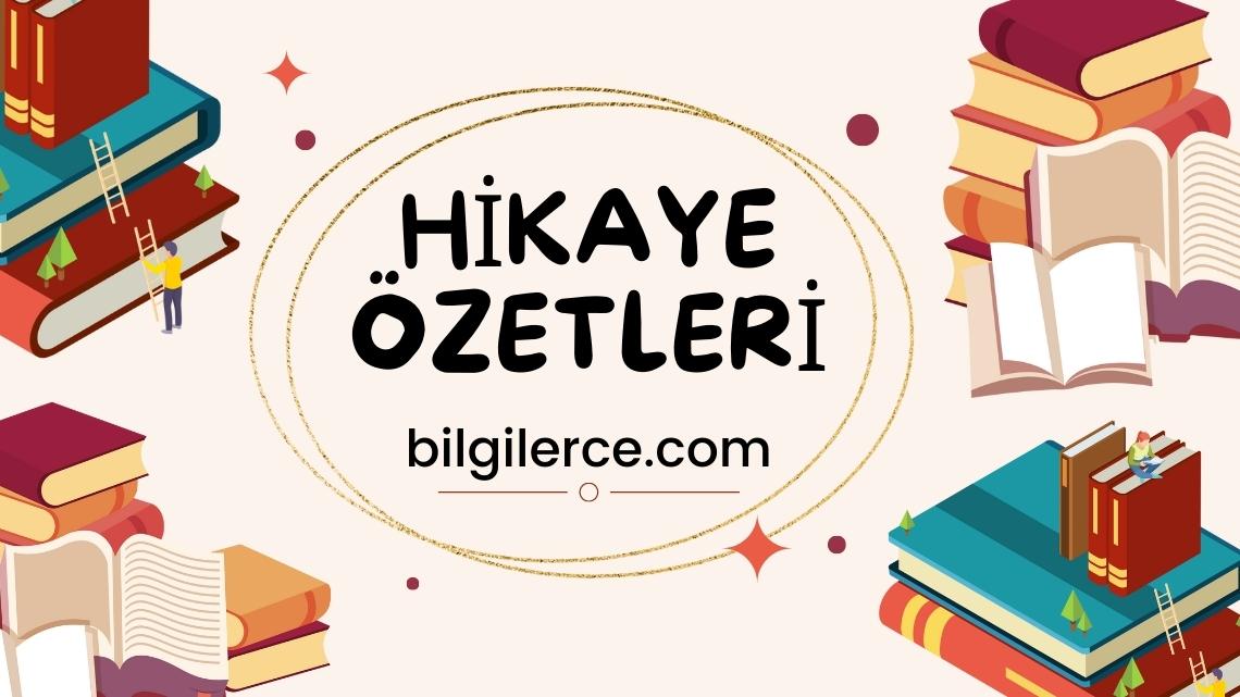 Hikaye Özetleri