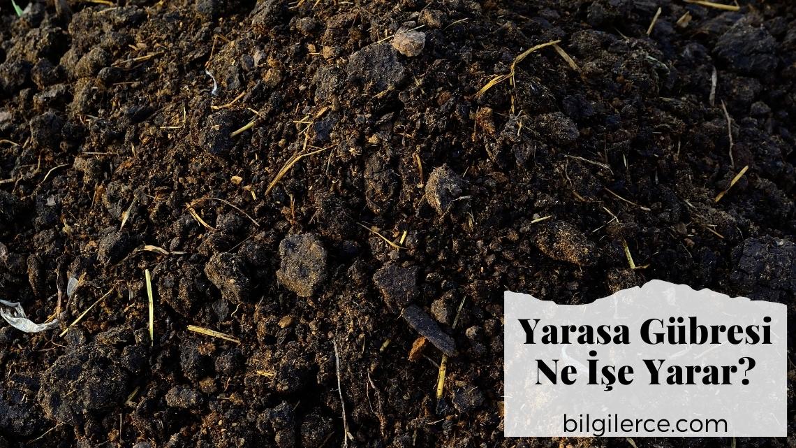 Yarasa Gübresi Ne İşe Yarar?