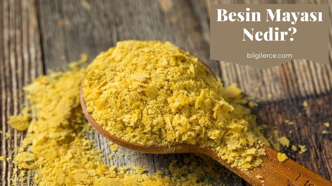 Nutritional Yeast (Besin Mayası) Nedir?