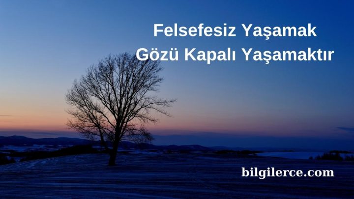 Felsefesiz Yaşamak Gözü Kapalı Yaşamaktır