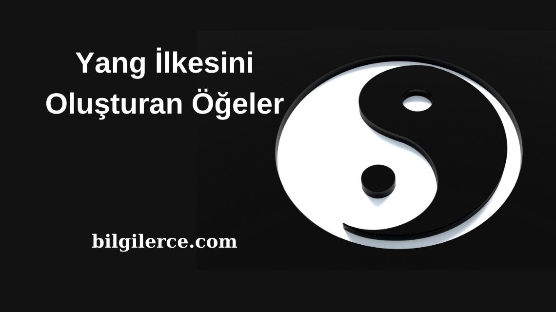 Yang İlkesini Oluşturan Öğeler