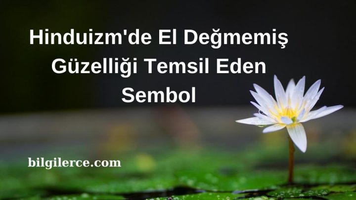 Hinduizm’de El Değmemiş Güzelliği Temsil Eden Sembol