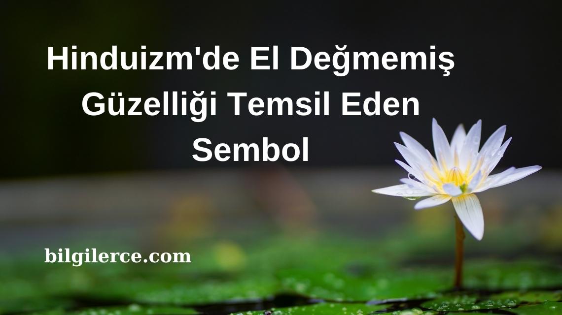 Hinduizm’de El Değmemiş Güzelliği Temsil Eden Sembol