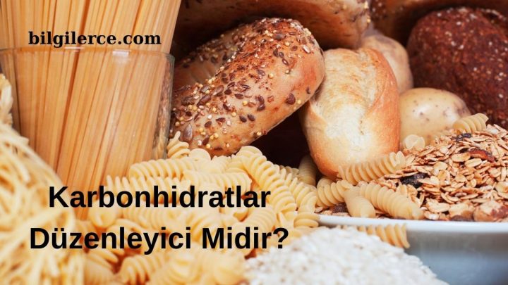 Karbonhidratlar Düzenleyici Midir?