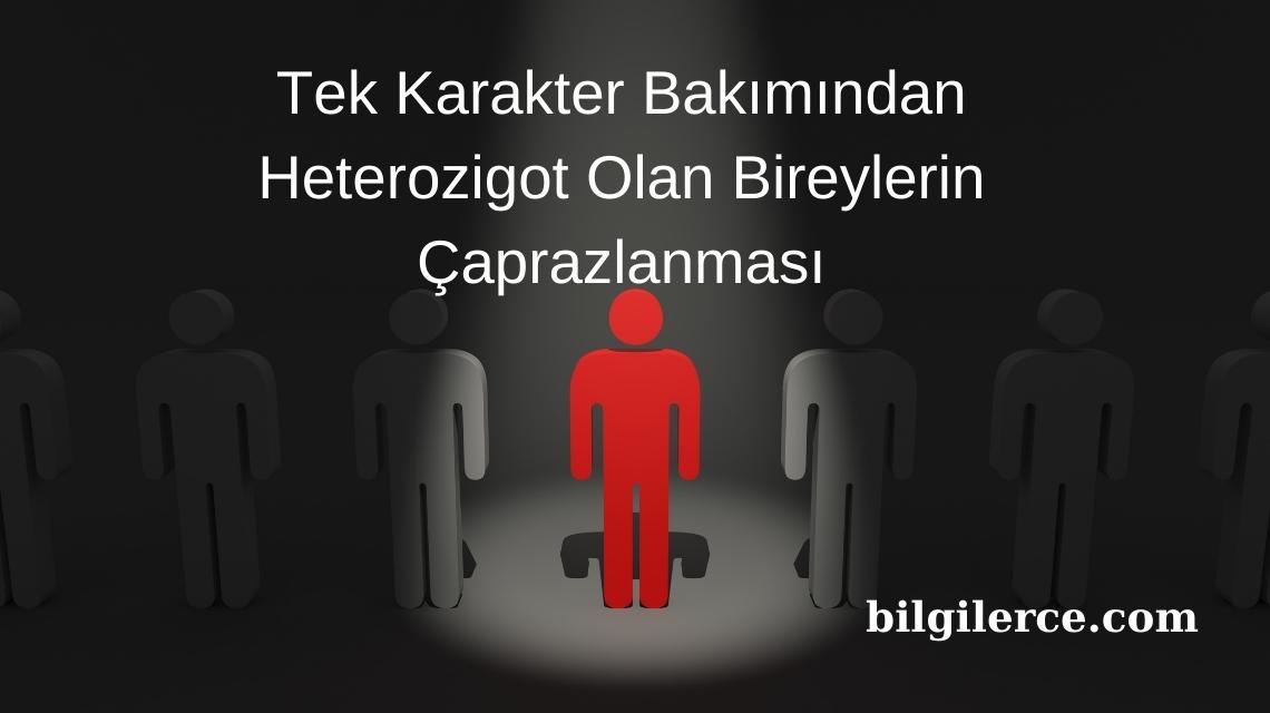 Tek Karakter Bakımından Heterozigot Olan Bireylerin Çaprazlanması