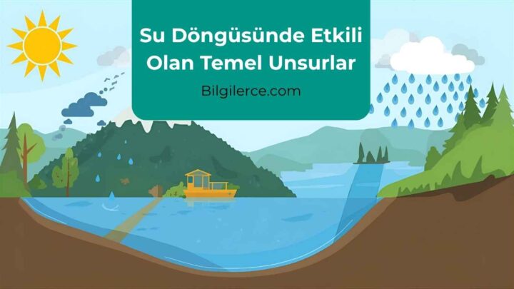 Hangisi Su Döngüsünde Etkili Olan Unsurlardan Biri Değildir?