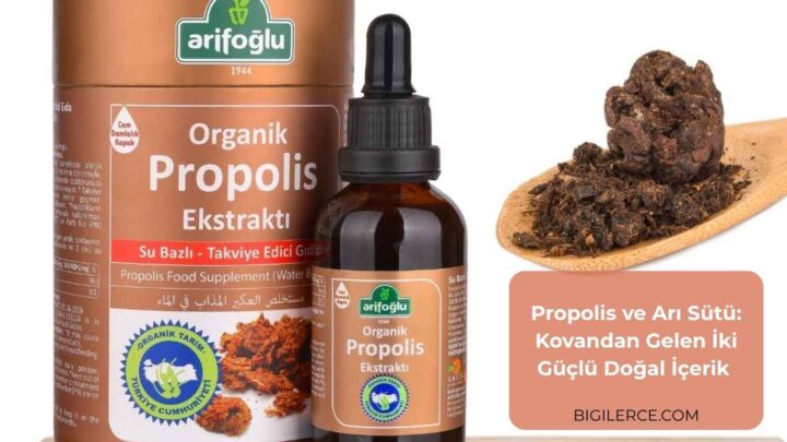 Propolis ve Arı Sütü: Kovandan Gelen İki Güçlü Doğal İçerik
